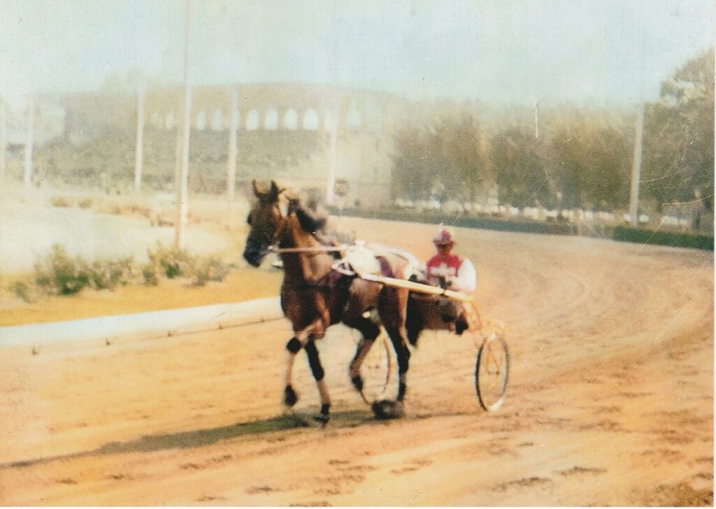 469a0fac-b48b-422a-ae9a-cfdf9b82135b-1024x728 Ippodromo di Cesena e Mostra Nazionale del Cavallo, un connubio che dura da oltre mezzo secolo